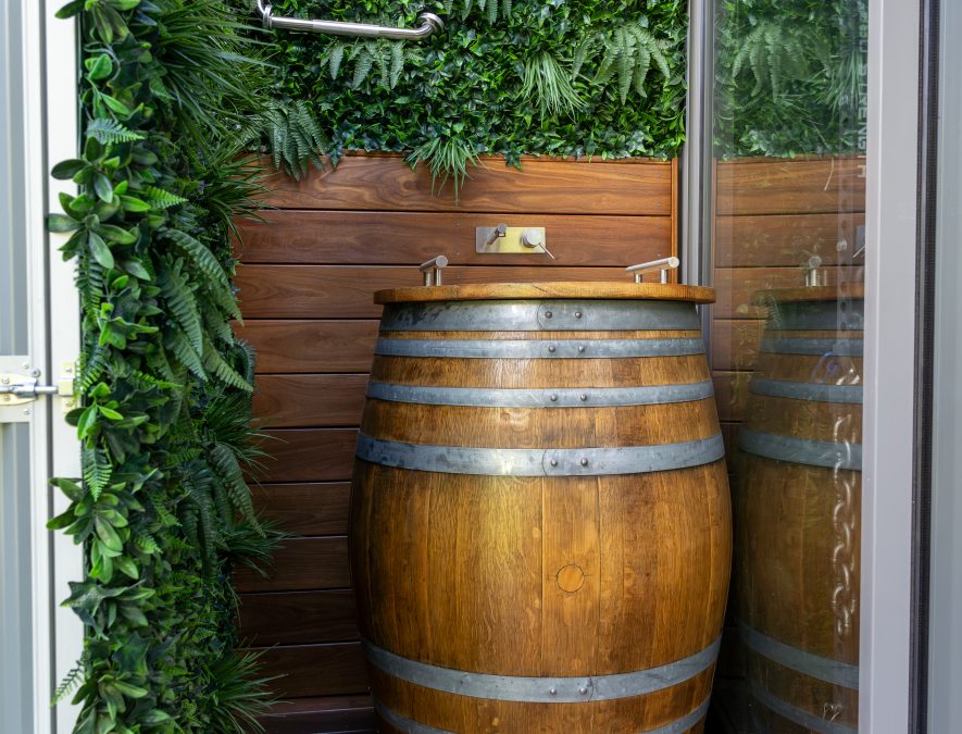 DSC08382-Enhanced-NR