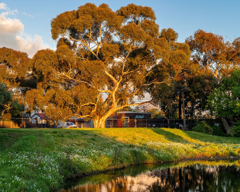 Elwood Home